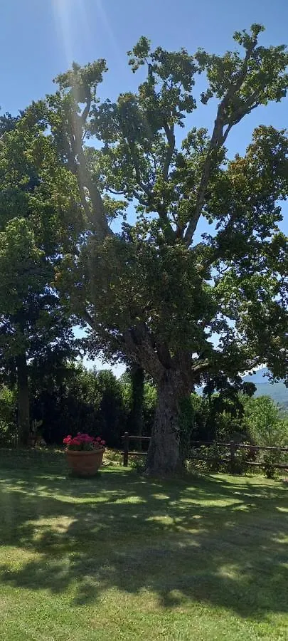 Hotel Poggio Al Sole Fiesole Italia